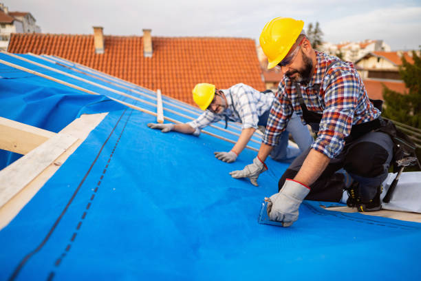 Fast & Reliable Emergency Roof Repairs in Warrensburg, MO